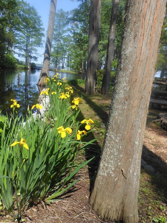 The Pond House Inn Elizabeth City Exterior foto
